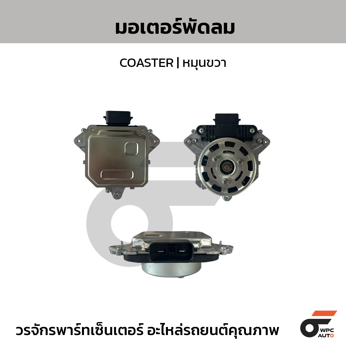 NIPPON มอเตอร์พัดลม COASTER | หมุนขวา