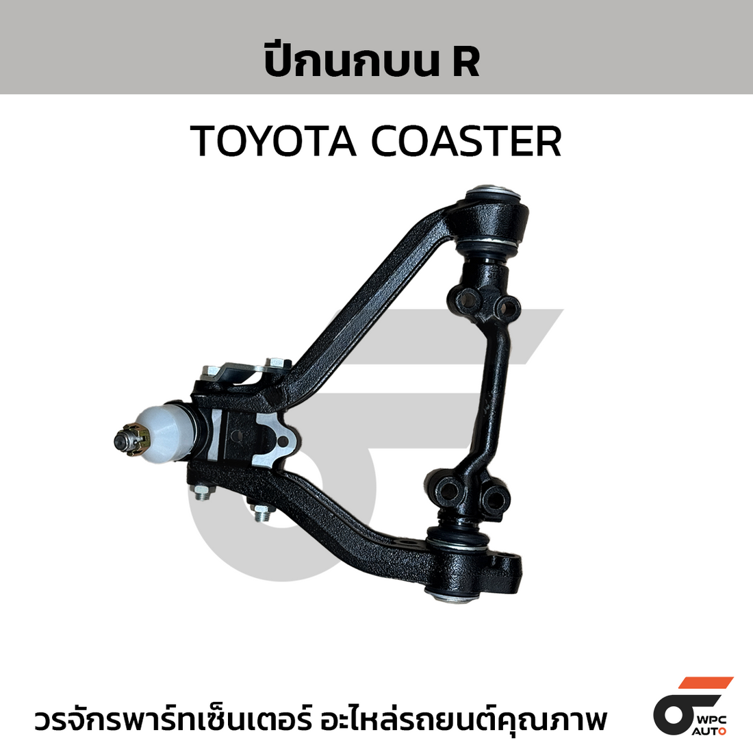 NIPPON ปีกนกบน COASTER มินิบัส