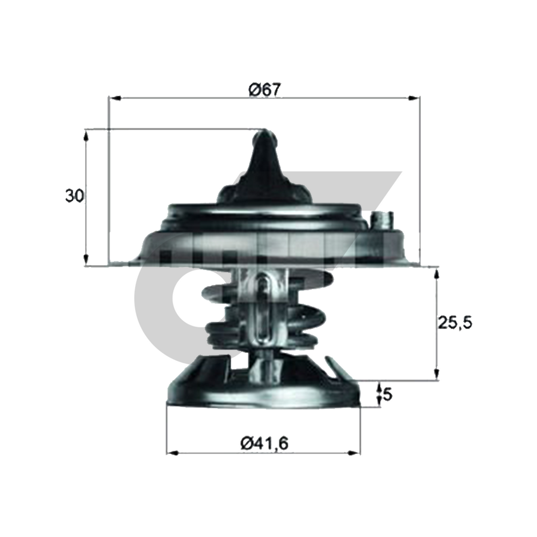 MAHLE วาล์วน้ำ BENZ OM601-5 ดีเซล / W201 W202 W124 W210, MUSSO REXTON | 85องศา